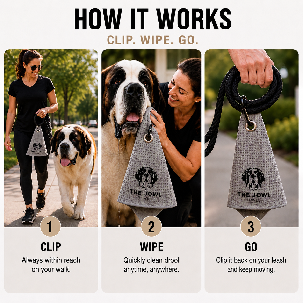 Saint Bernard  – 3 Pack
