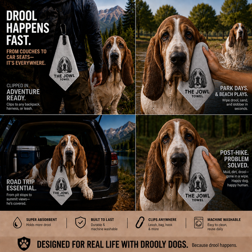 Basset Hound – 3 Pack