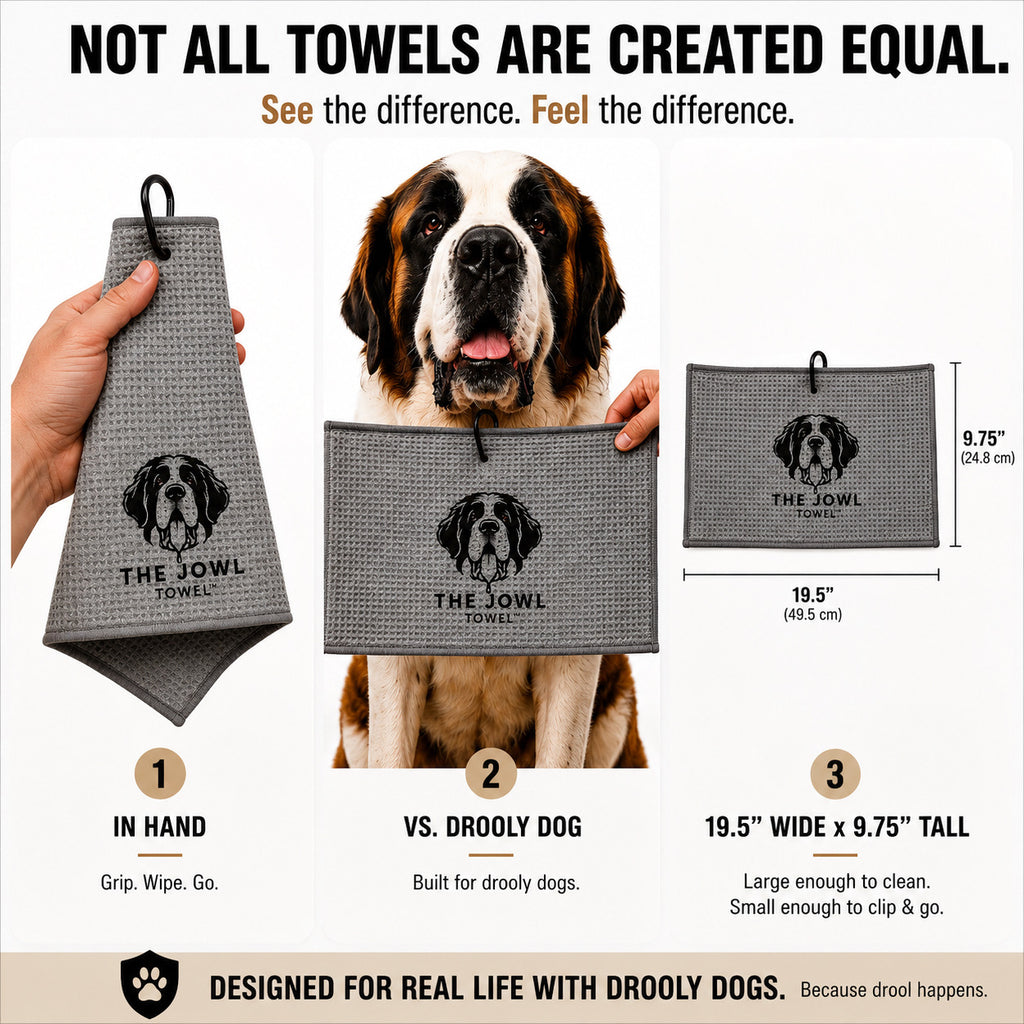 Saint Bernard  – 3 Pack